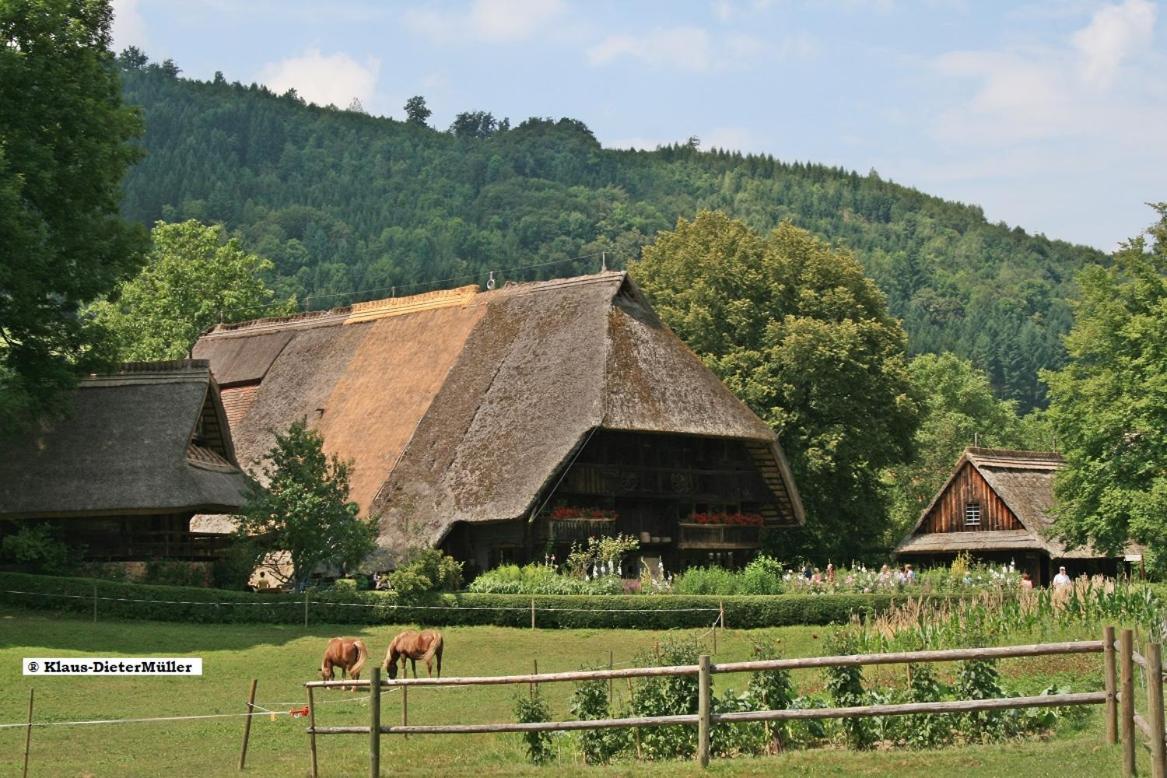 Haus Am Waldrand Villa Triberg im Schwarzwald Eksteriør billede