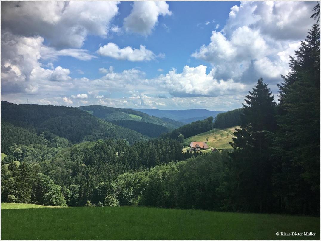 Haus Am Waldrand Villa Triberg im Schwarzwald Eksteriør billede