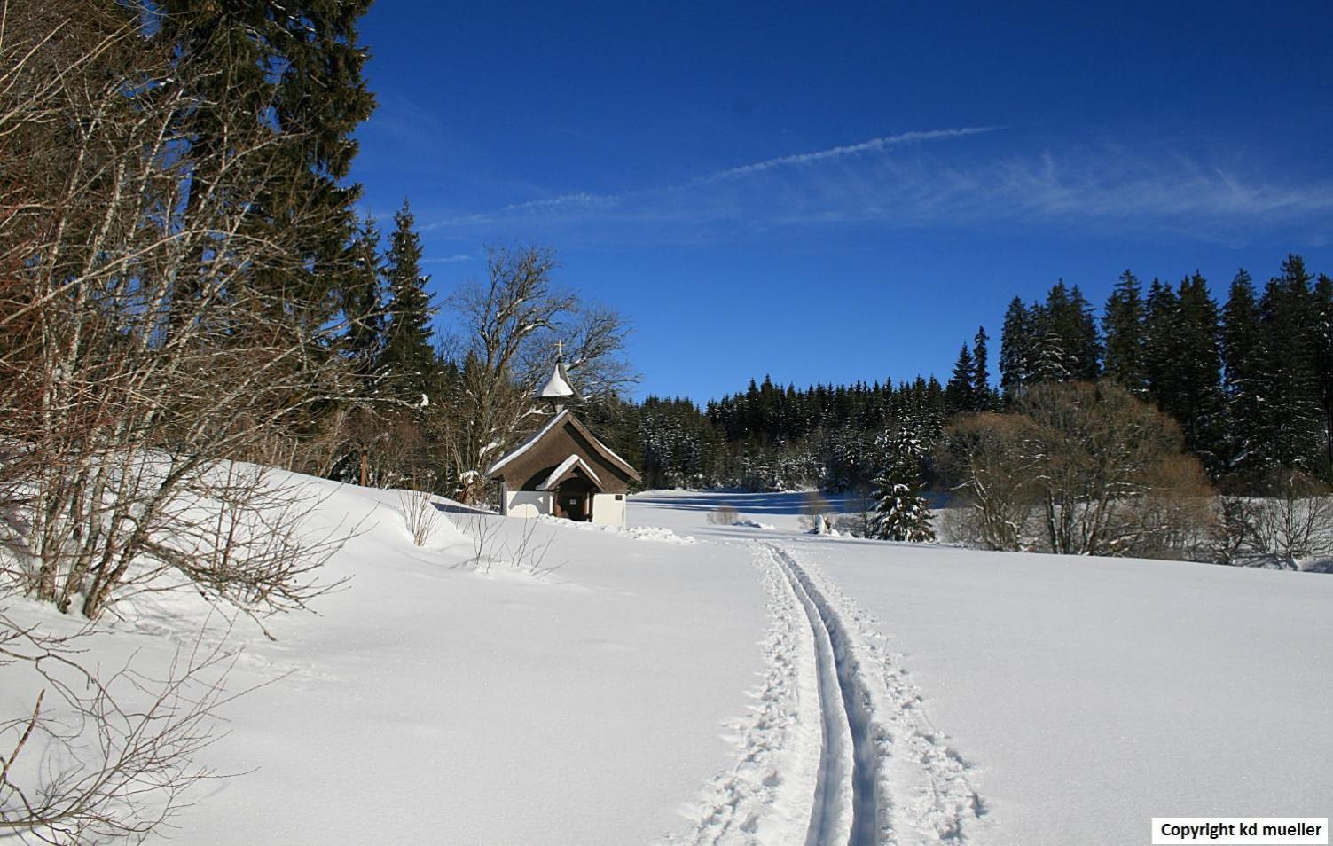 Haus Am Waldrand Villa Triberg im Schwarzwald Eksteriør billede