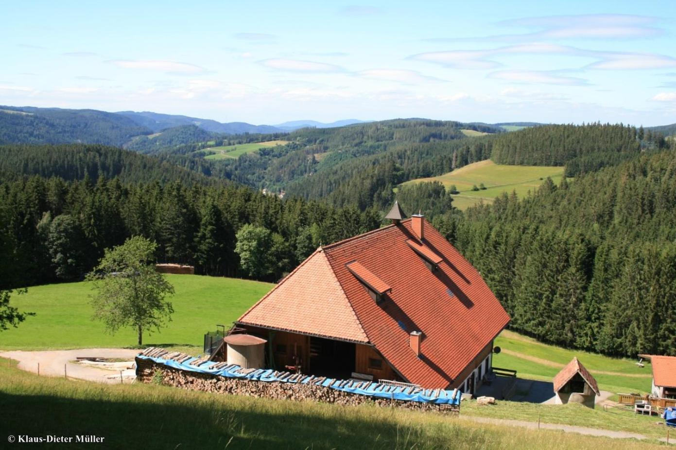 Haus Am Waldrand Villa Triberg im Schwarzwald Eksteriør billede
