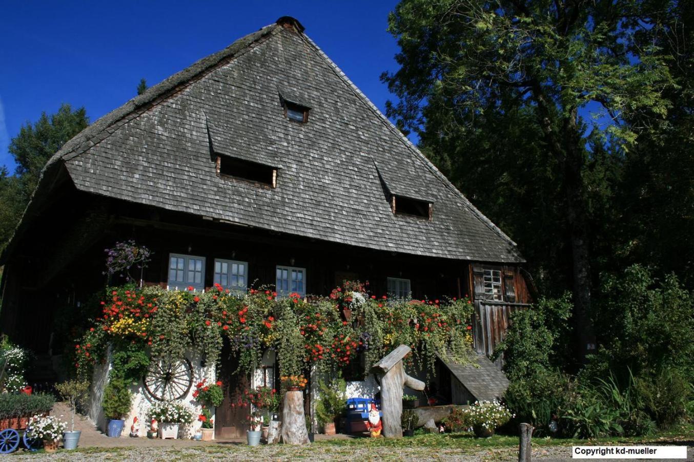 Haus Am Waldrand Villa Triberg im Schwarzwald Eksteriør billede