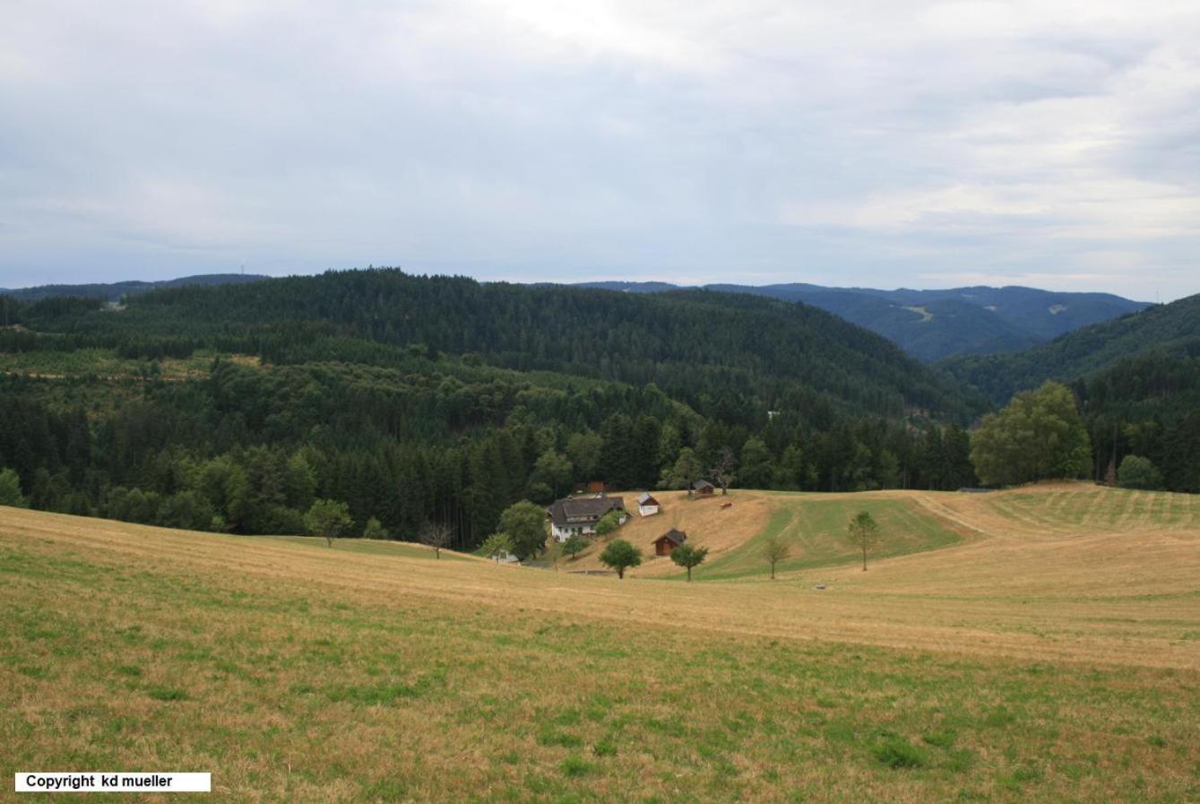 Haus Am Waldrand Villa Triberg im Schwarzwald Eksteriør billede