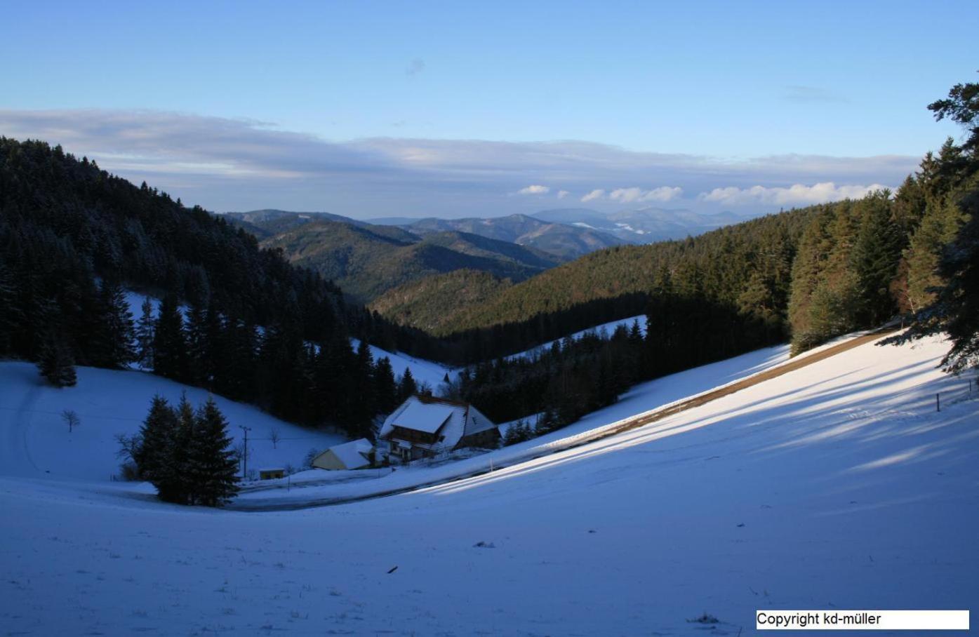 Haus Am Waldrand Villa Triberg im Schwarzwald Eksteriør billede