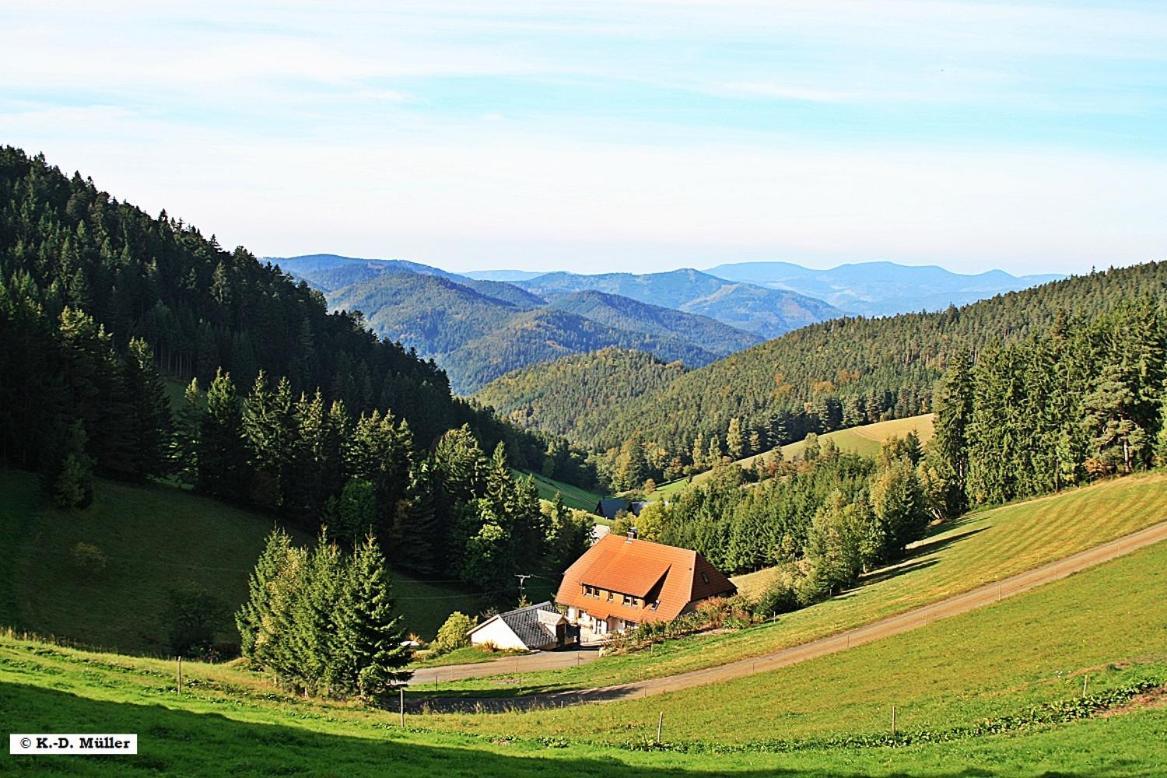 Haus Am Waldrand Villa Triberg im Schwarzwald Eksteriør billede
