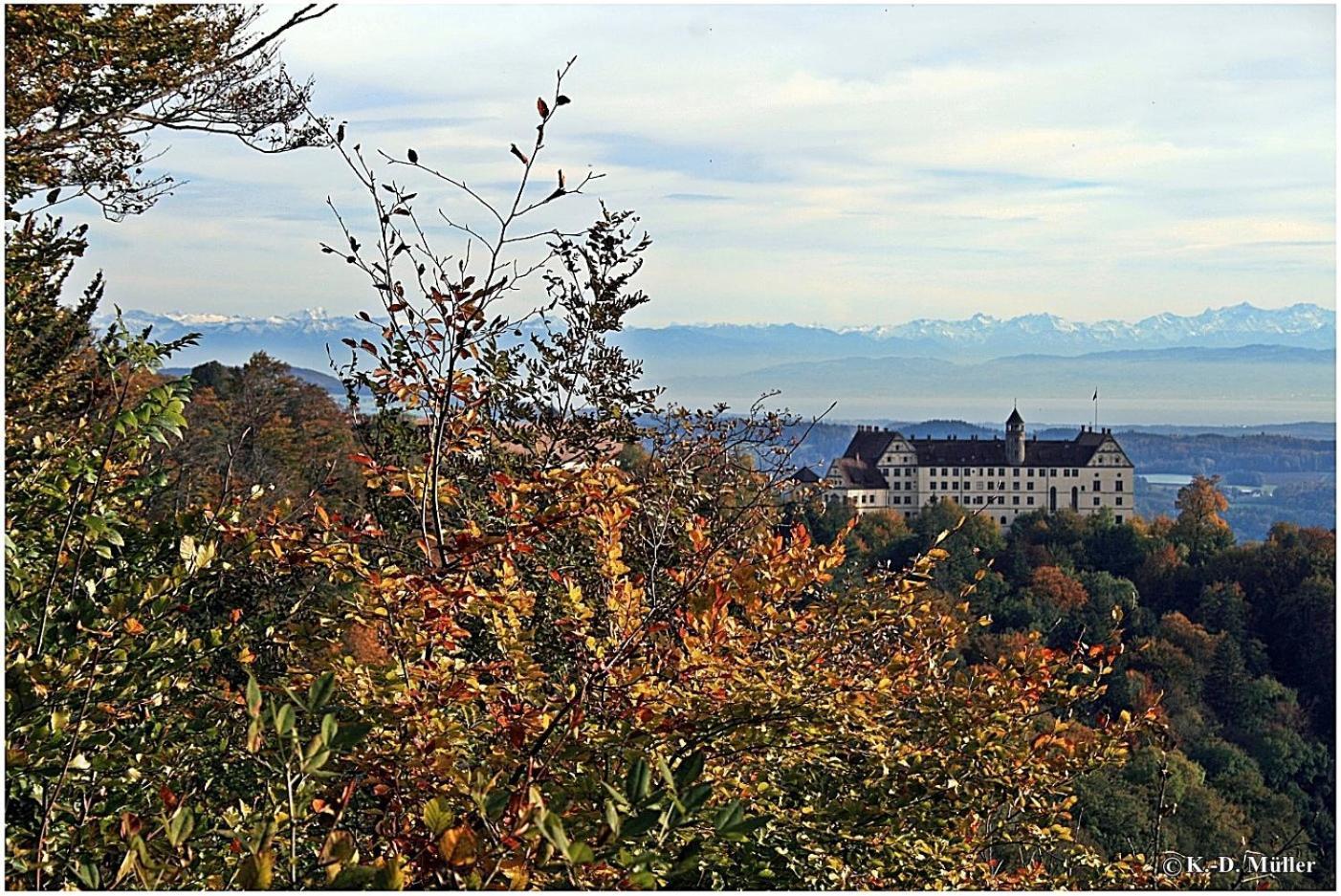 Haus Am Waldrand Villa Triberg im Schwarzwald Eksteriør billede