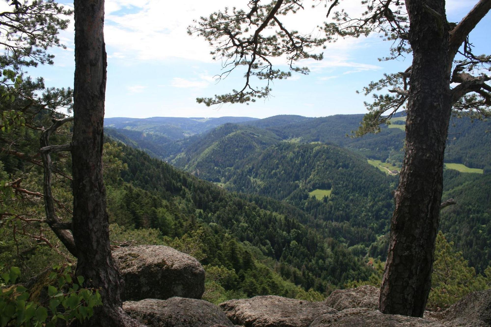 Haus Am Waldrand Villa Triberg im Schwarzwald Eksteriør billede
