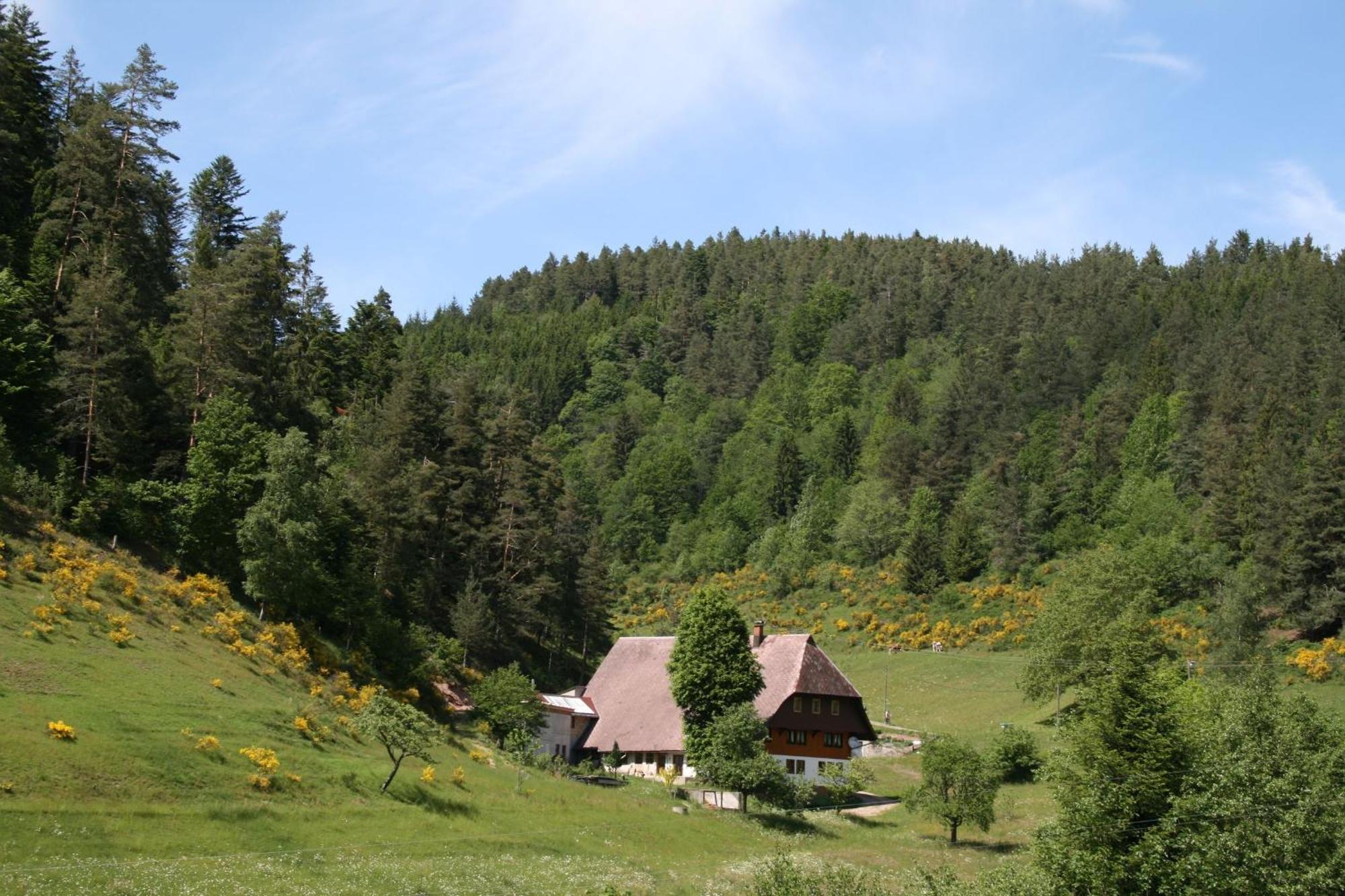 Haus Am Waldrand Villa Triberg im Schwarzwald Eksteriør billede