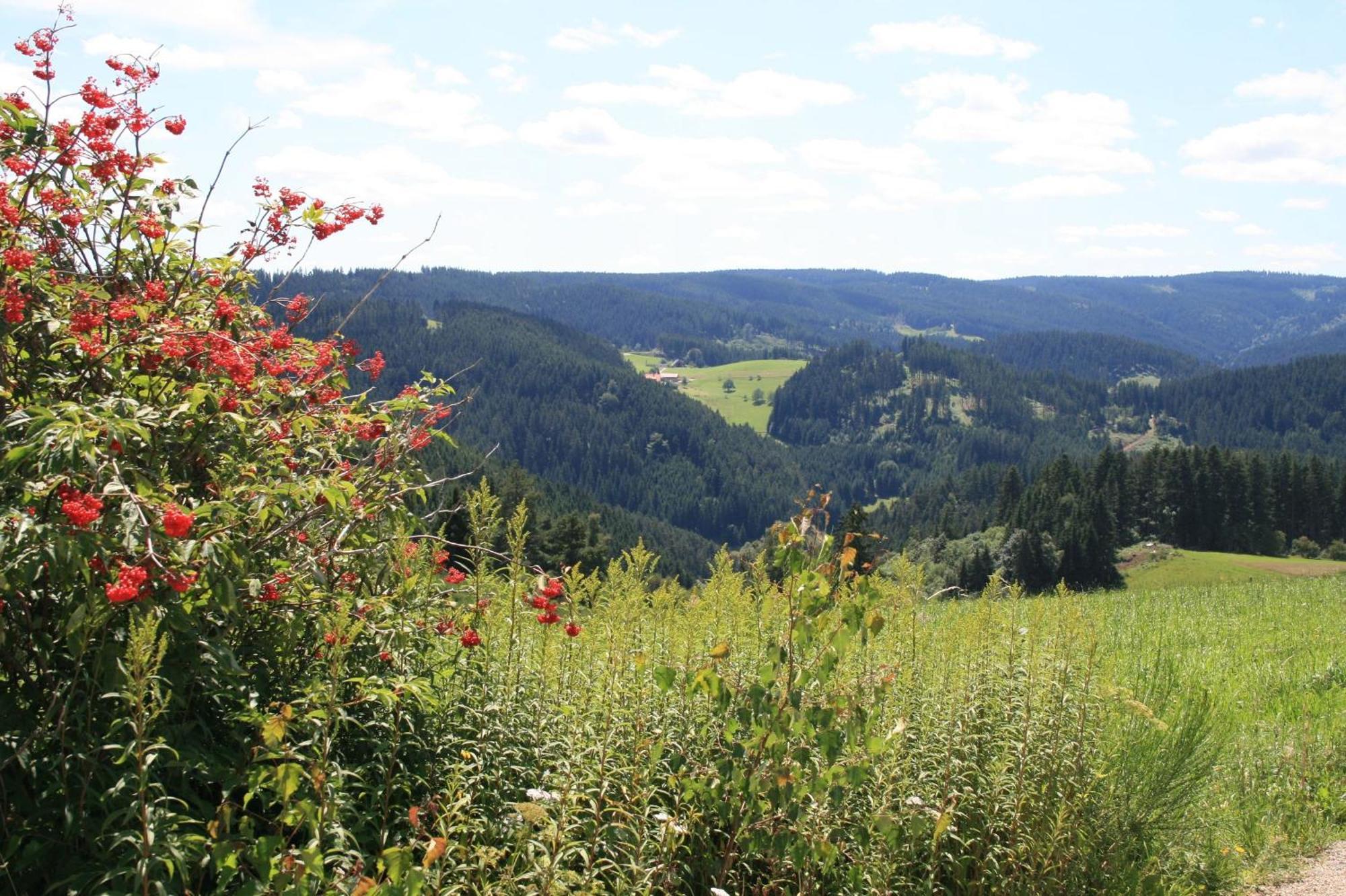 Haus Am Waldrand Villa Triberg im Schwarzwald Eksteriør billede